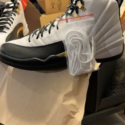 Air Jordan 12