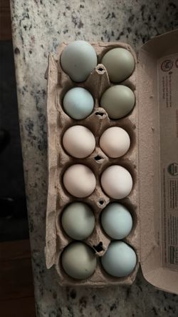 Free Range Chicken Eggs