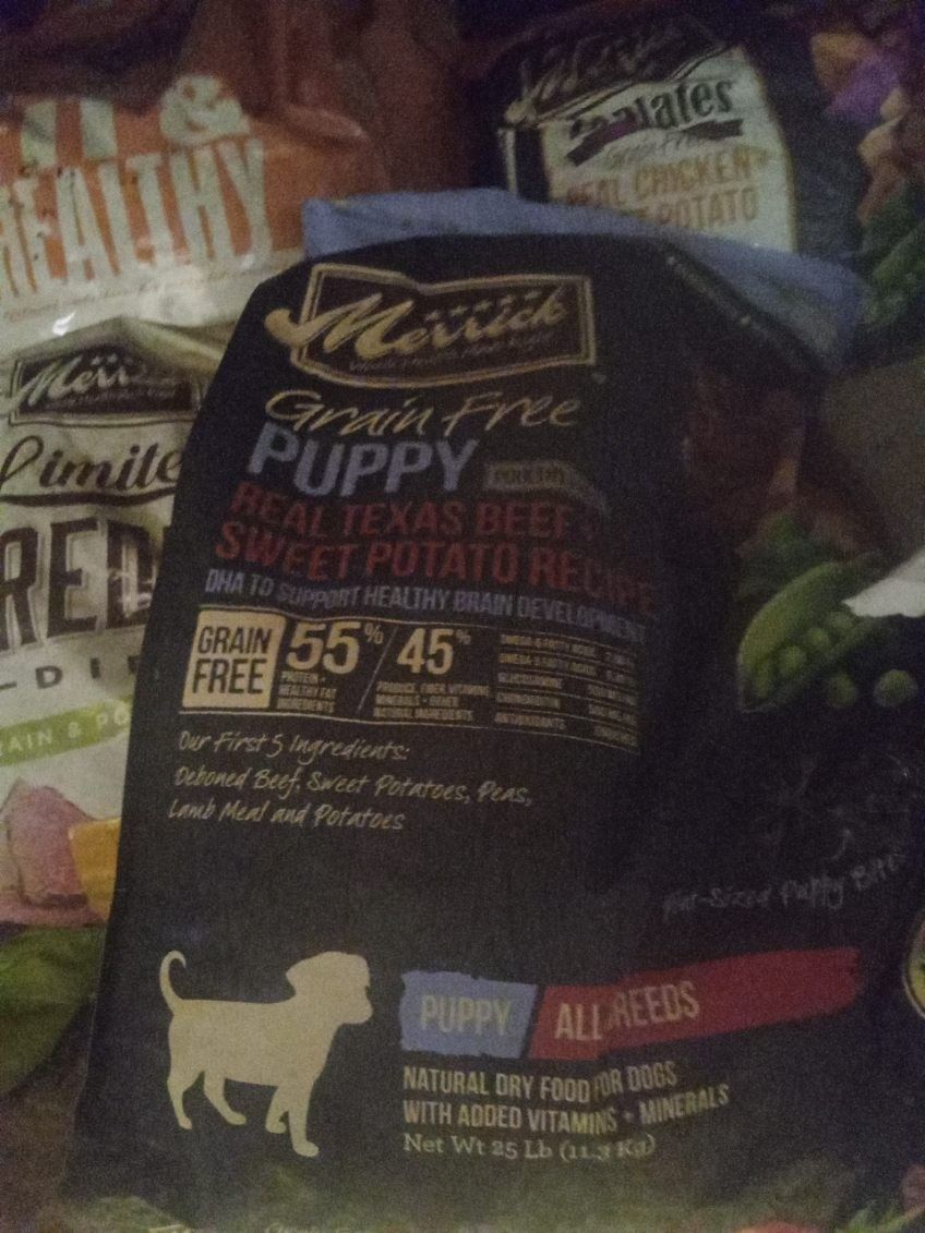 Puppy Food