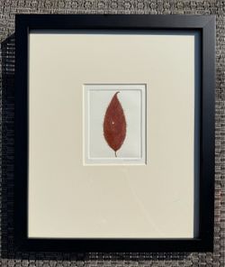 Unique Botanical Leaf Print- Signed Limited Edition Etching