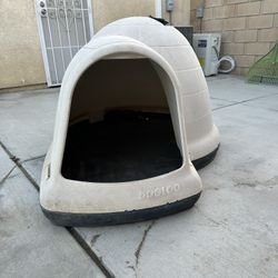 Large Dog House 