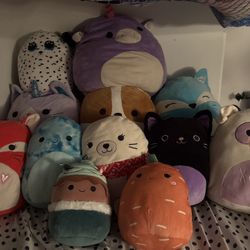 Squishmallows 