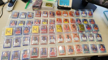 FIFA World Cups Stickers Blue, Red Parallel, Oryx