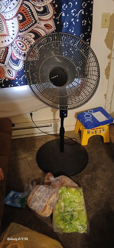 Oscillating Fan 4 Speeds 