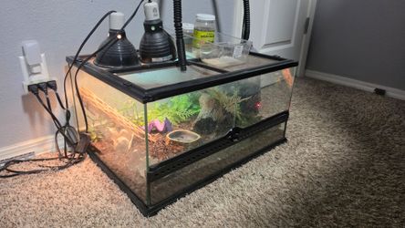 Terrarium with fogger/lights/decor etc