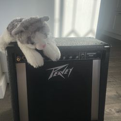 Peavy Amplifier Audition Plus