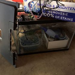 20 Gallon Fish Tank