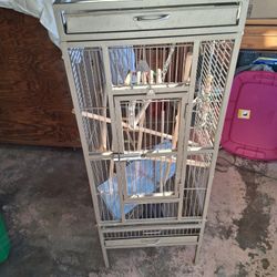 Bird Cage
