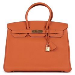 Luxury Purse 