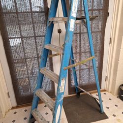 Werner 6 Foot Step Ladder