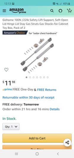 Gizhome 100N /22lb Safety Lift Support, Soft Open
