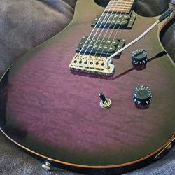 PRS Se Paul Allender Cradle Of Filth Signature Custom Electric Guitar