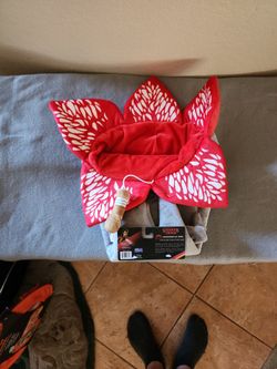 Stranger Things Cat Tunnel 