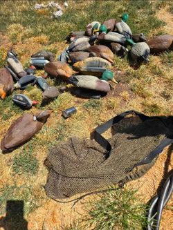 Lots of duck decoys $175 for everything