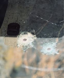 Auto Glass