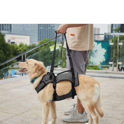 Large Dog Harness
