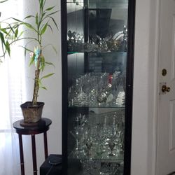 Curio Cabinet 