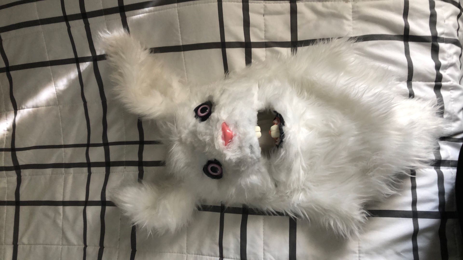 Bunny Mask 