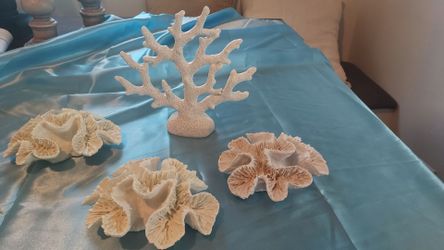 White coastal decor