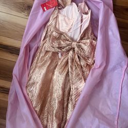 Quinceañera Dress Size Small Pink Gold