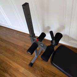 X Mark inclined ab bench