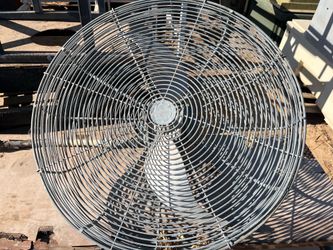 Fan