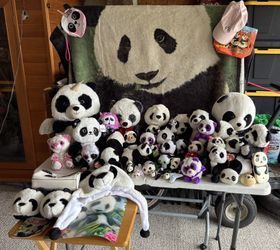 Panda Collection