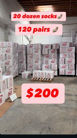ASH Socks Bulk Lot – 120 Pairs