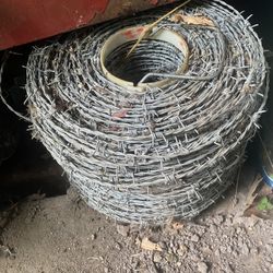 Barb Wire 