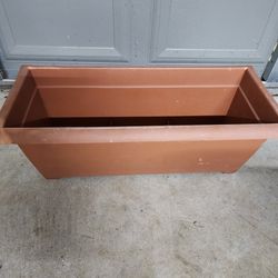 Plant Pot