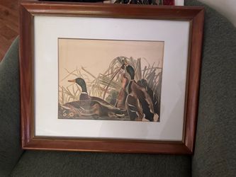 Mallard Ducks Wall Art