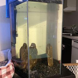 20gal Fish Tank