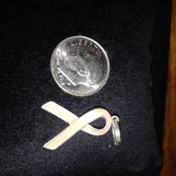 Silver Charm/pendent