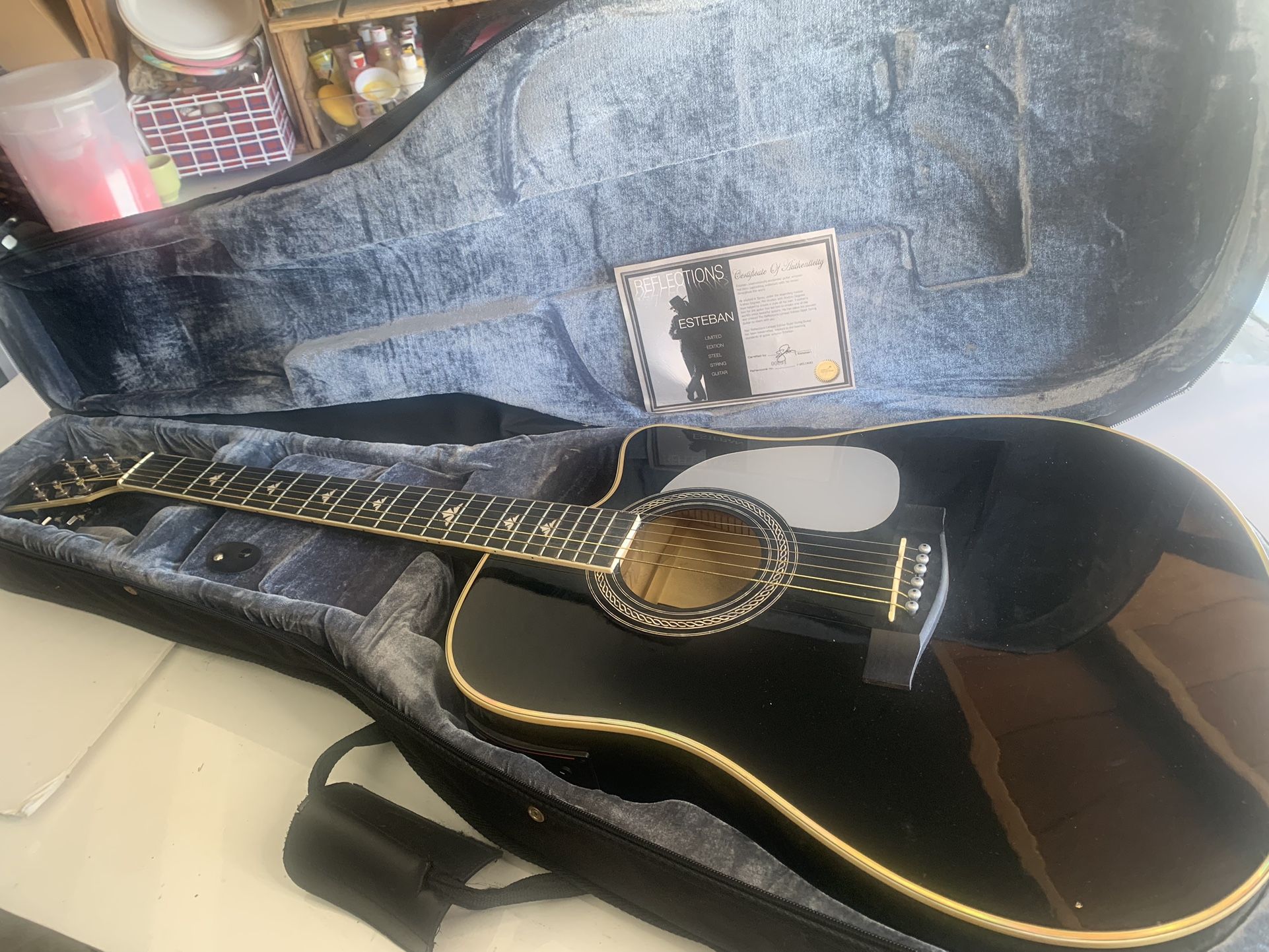Reflection Estaban Acoustic Guitar LIMITED EDITION