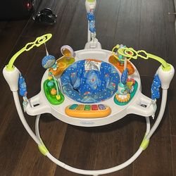 Baby Bouncer 