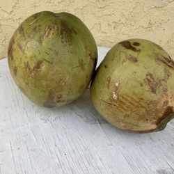 Ricos Cocos Bien Tiernitos  Recién Traídos De Colima 