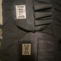 Everlast Punching Mitts