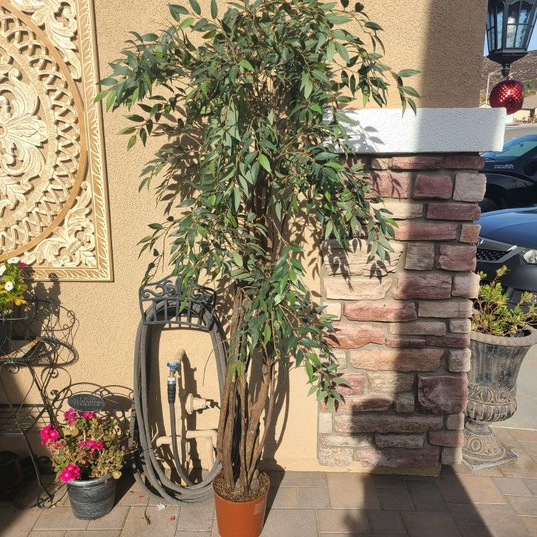 ARTFICIAL  PLANT