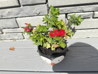 Trade For Fruits Plants 