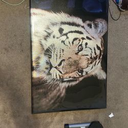 Tiger Printed Painting 
