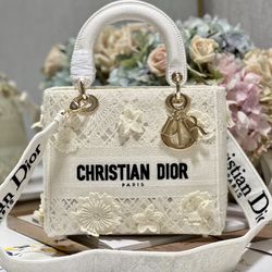 Dior Signature D-Lite Women Bag