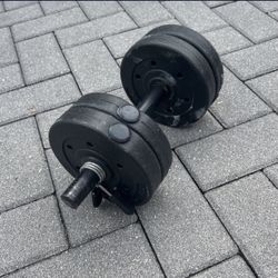 Dumbbell & Push-up Handles
