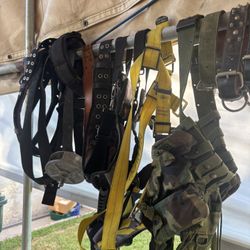Belts And Harness 
