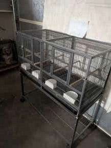Birds Cages