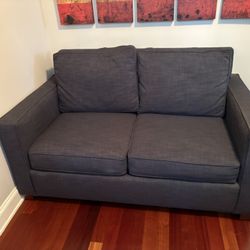 West Elm Pull Out Sofa