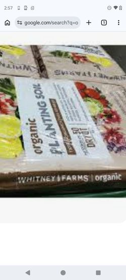 Organic potting soil