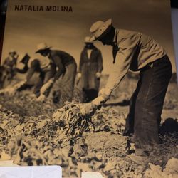 How Race Is Made In America