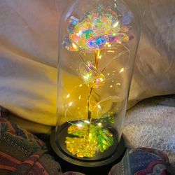 Brand New Mothers Day Gift