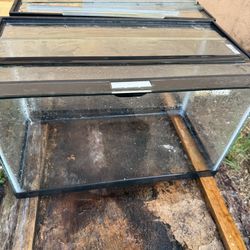 Fish Tank 10 Gallon