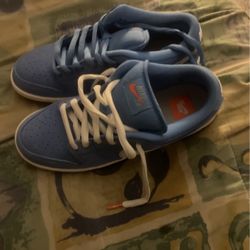 Brand New Nike Dunk Low Sb